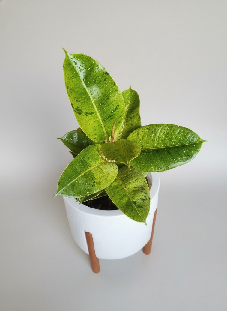 Foto dos óculos escuros com edição profissional, realçando o produto e removendo reflexos